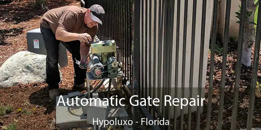 Automatic Gate Repair Hypoluxo - Florida