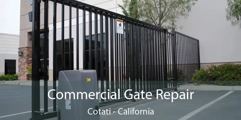 Commercial Gate Repair Cotati - California