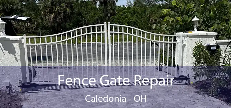  Fence Gate Repair Caledonia - OH