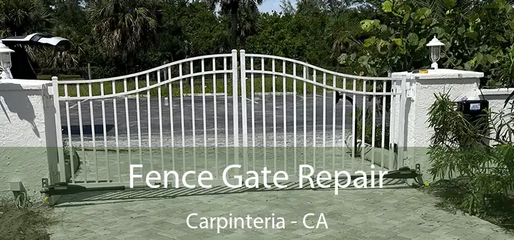  Fence Gate Repair Carpinteria - CA