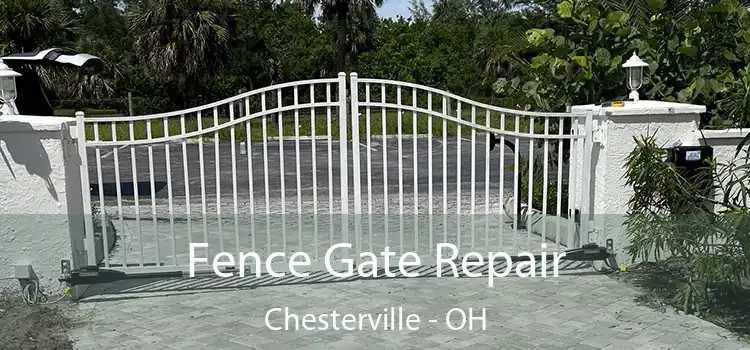  Fence Gate Repair Chesterville - OH