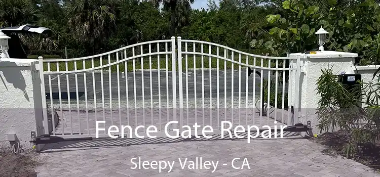  Fence Gate Repair Sleepy Valley - CA