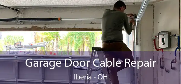 Garage Door Cable Repair Iberia - OH