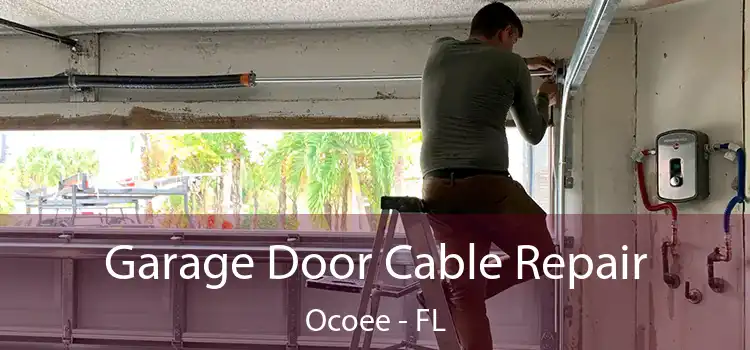 Garage Door Cable Repair Ocoee - FL