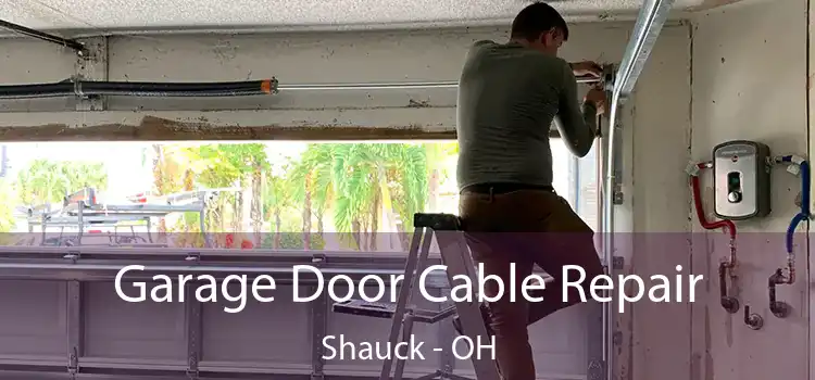 Garage Door Cable Repair Shauck - OH