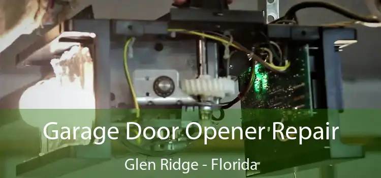 Garage Door Opener Repair Glen Ridge - Florida