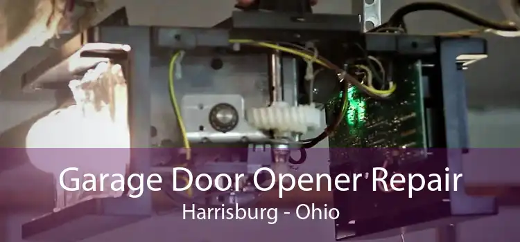 Garage Door Opener Repair Harrisburg - Ohio