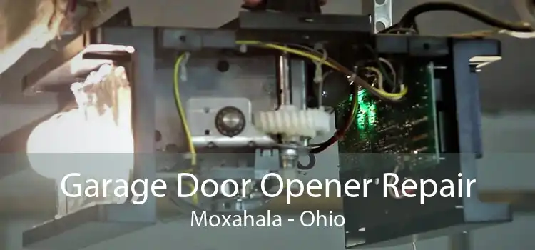 Garage Door Opener Repair Moxahala - Ohio