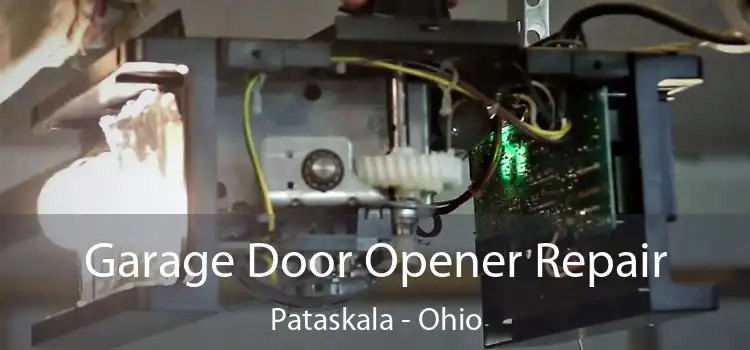 Garage Door Opener Repair Pataskala - Ohio