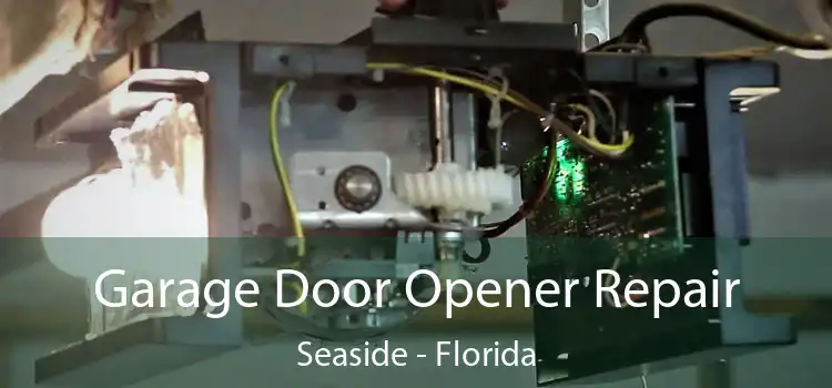 Garage Door Opener Repair Seaside - Florida