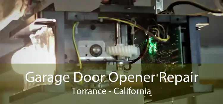 Garage Door Opener Repair Torrance - California