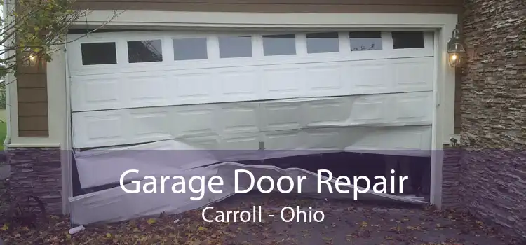 Garage Door Repair Carroll - Ohio