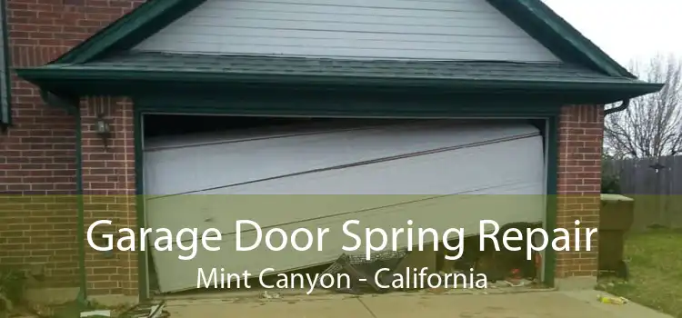 Garage Door Spring Repair Mint Canyon - California