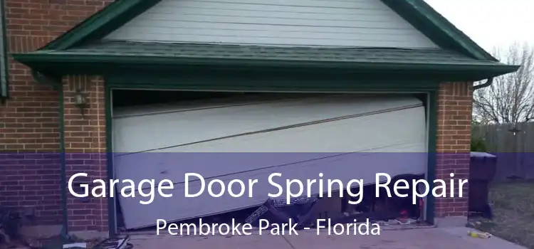 Garage Door Spring Repair Pembroke Park - Florida