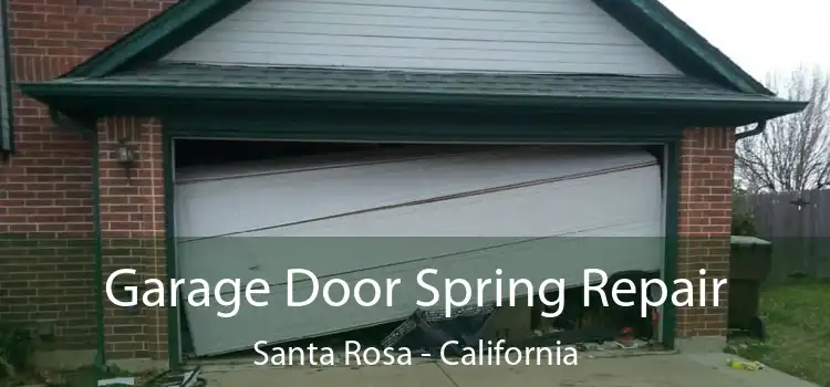 Garage Door Spring Repair Santa Rosa - California