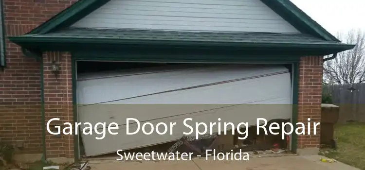 Garage Door Spring Repair Sweetwater - Florida