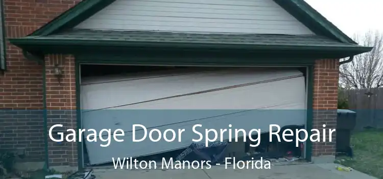 Garage Door Spring Repair Wilton Manors - Florida