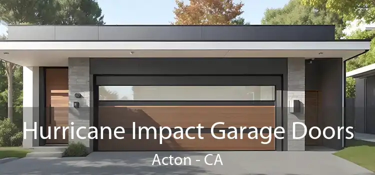 Hurricane Impact Garage Doors Acton - CA