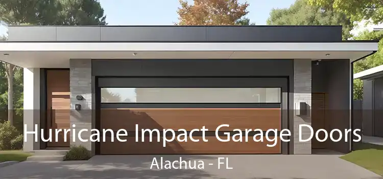 Hurricane Impact Garage Doors Alachua - FL