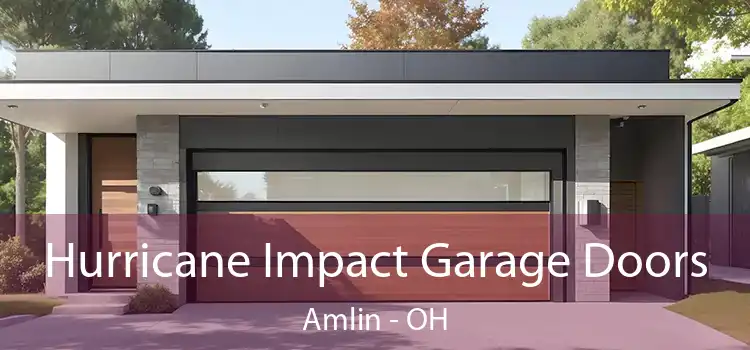 Hurricane Impact Garage Doors Amlin - OH