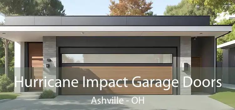 Hurricane Impact Garage Doors Ashville - OH