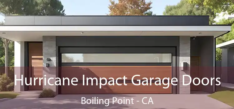 Hurricane Impact Garage Doors Boiling Point - CA