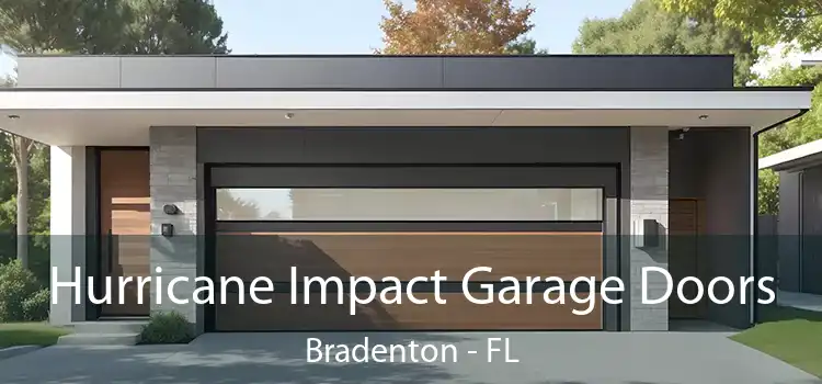 Hurricane Impact Garage Doors Bradenton - FL