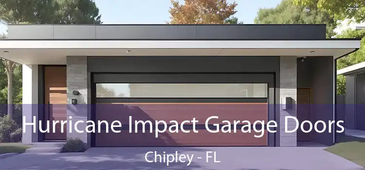 Hurricane Impact Garage Doors Chipley - FL