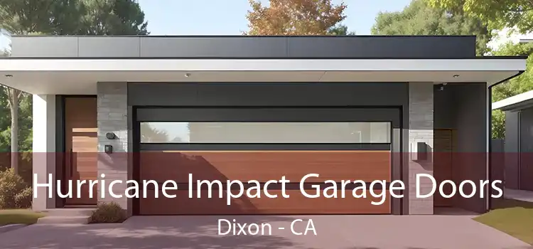 Hurricane Impact Garage Doors Dixon - CA