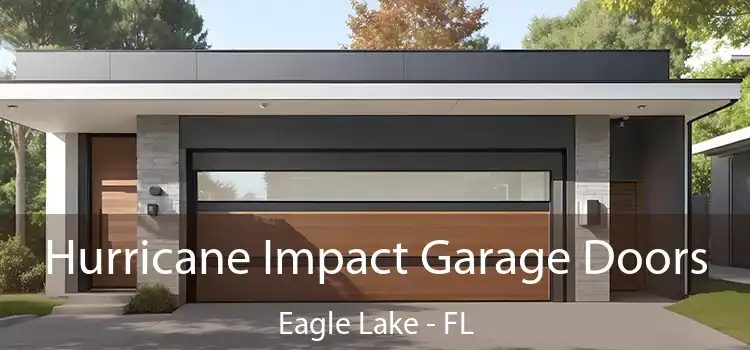 Hurricane Impact Garage Doors Eagle Lake - FL