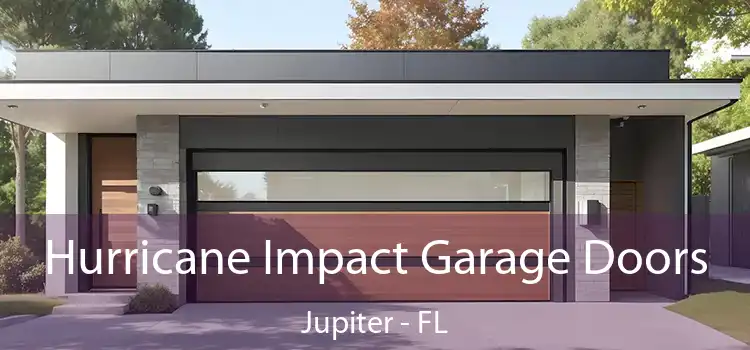 Hurricane Impact Garage Doors Jupiter - FL