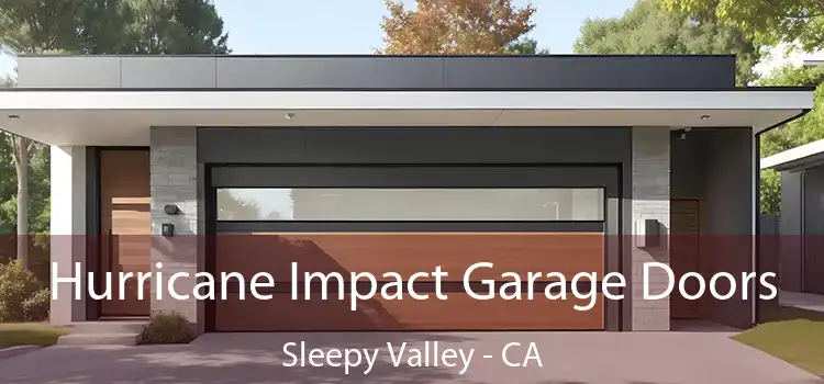 Hurricane Impact Garage Doors Sleepy Valley - CA