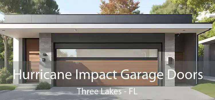 Hurricane Impact Garage Doors Three Lakes - FL