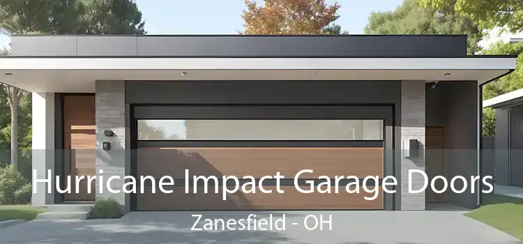 Hurricane Impact Garage Doors Zanesfield - OH