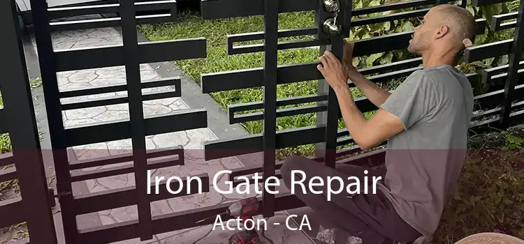  Iron Gate Repair Acton - CA