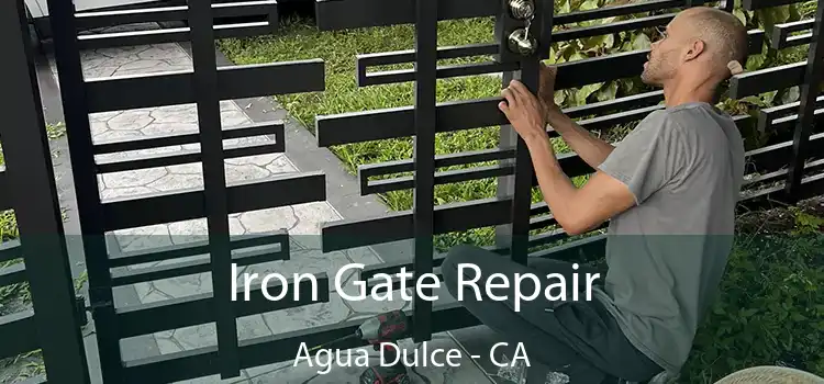  Iron Gate Repair Agua Dulce - CA