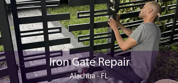  Iron Gate Repair Alachua - FL