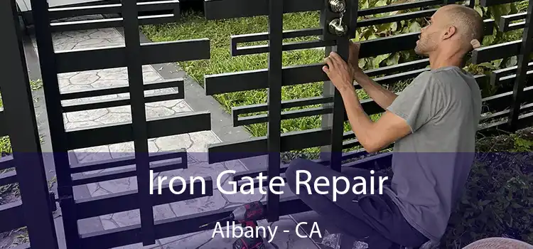  Iron Gate Repair Albany - CA