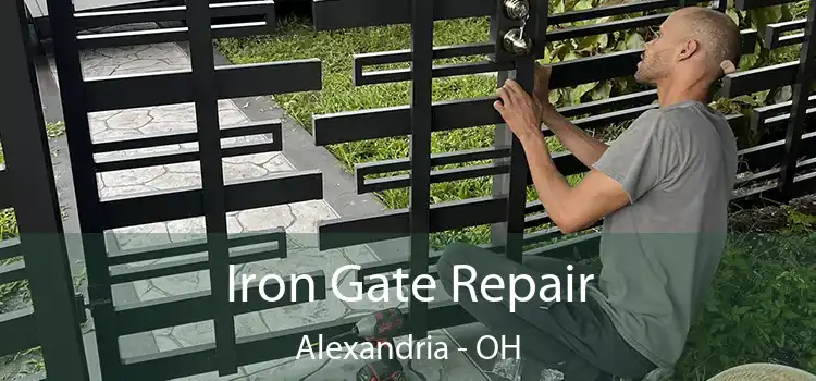  Iron Gate Repair Alexandria - OH