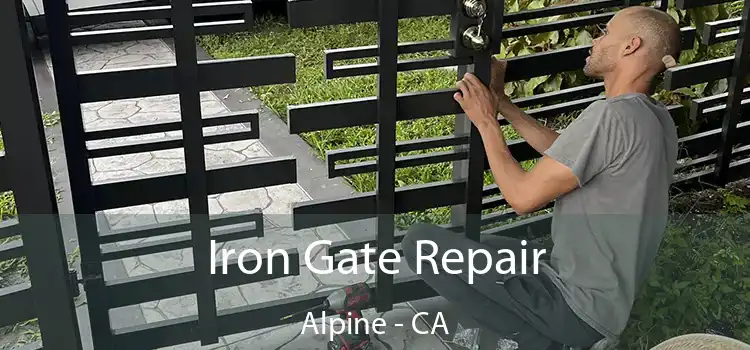  Iron Gate Repair Alpine - CA