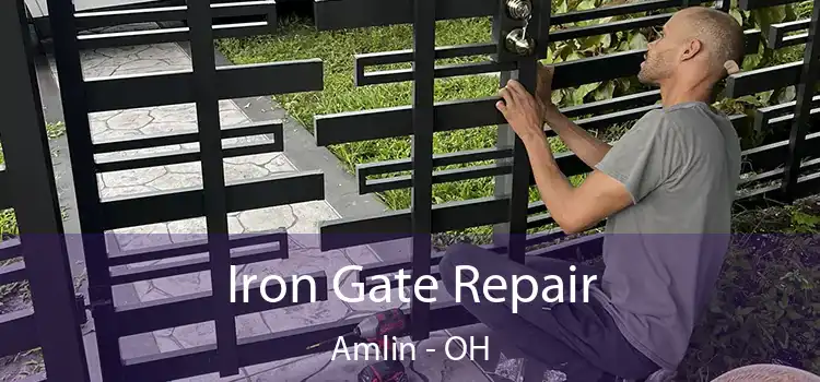  Iron Gate Repair Amlin - OH