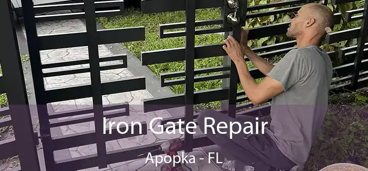  Iron Gate Repair Apopka - FL