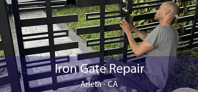  Iron Gate Repair Arleta - CA