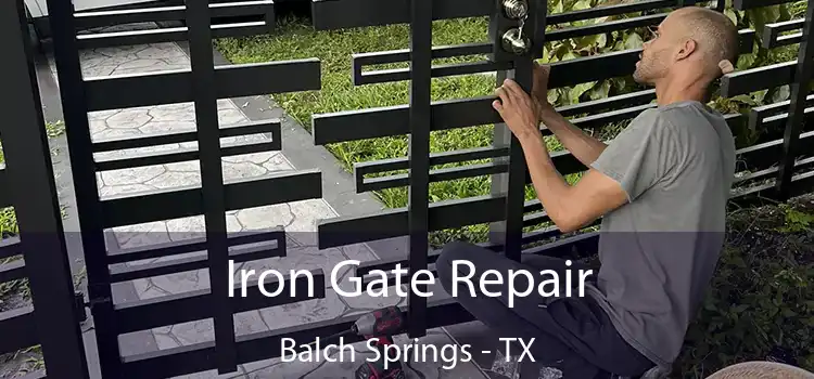  Iron Gate Repair Balch Springs - TX