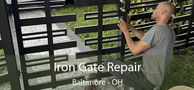  Iron Gate Repair Baltimore - OH