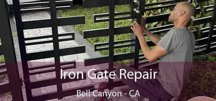  Iron Gate Repair Bell Canyon - CA