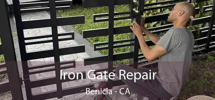  Iron Gate Repair Benicia - CA