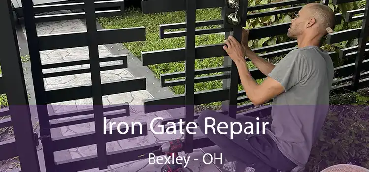  Iron Gate Repair Bexley - OH