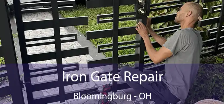  Iron Gate Repair Bloomingburg - OH