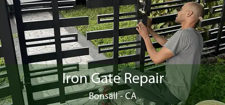  Iron Gate Repair Bonsall - CA